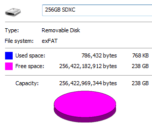 256GB Kingston SDXC Storage Capacity